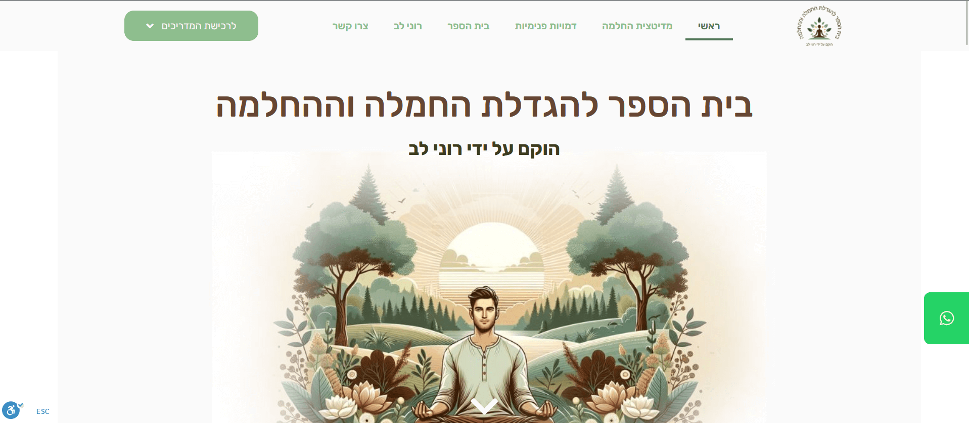 ronilev.co.il screenshot