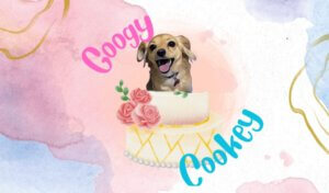 כרטי ביקור גוגי קוקי2